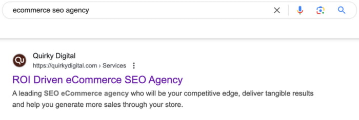 ecommerce seo agency in google search