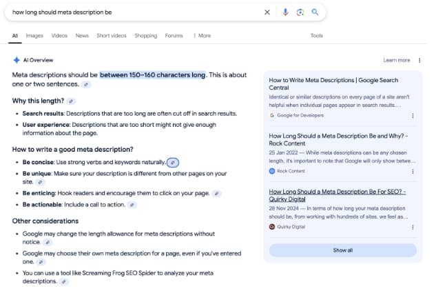AI overview meta description
