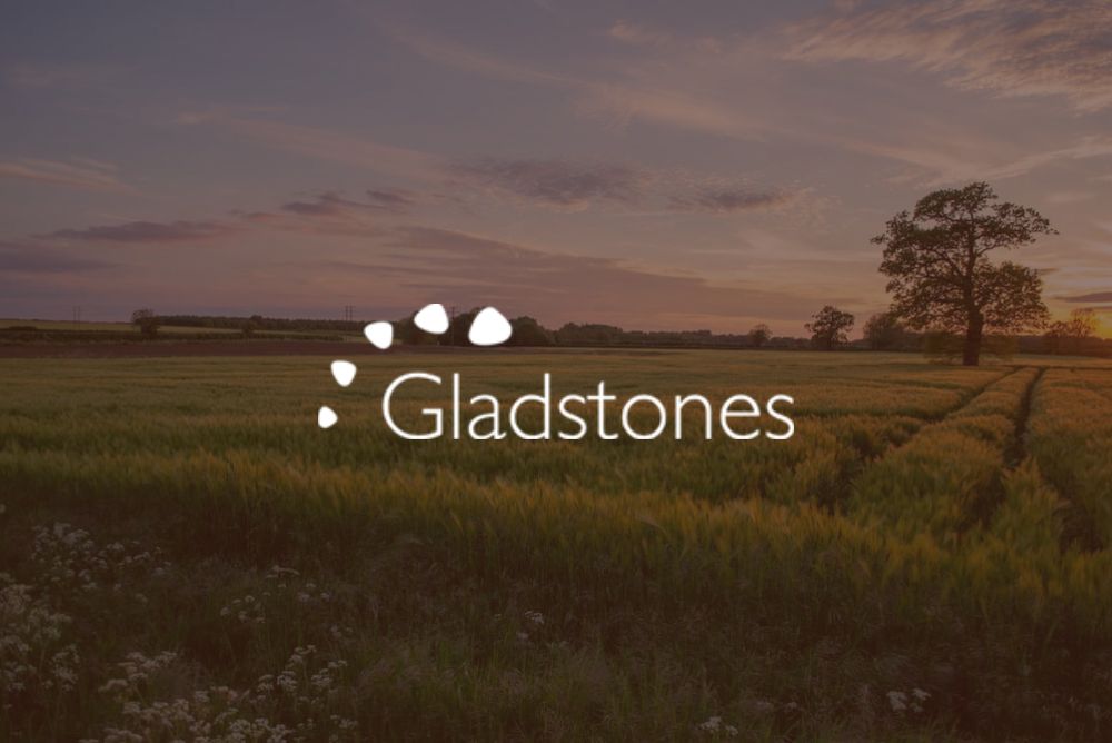Gladstones Clinic SEO
